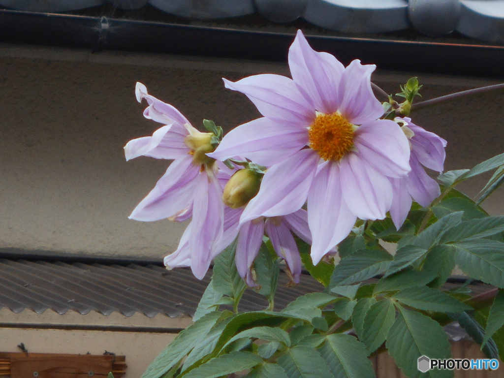 少しアップ気味で