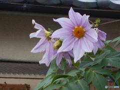 少しアップ気味で