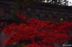 暗めなので・・・！