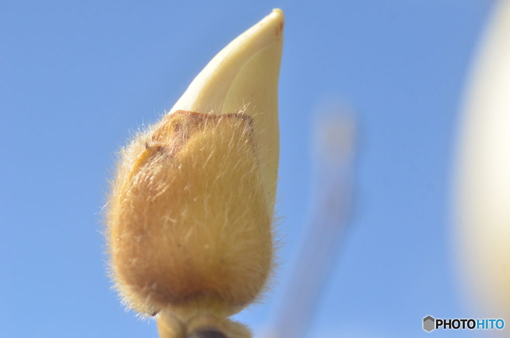 あと少しでおます