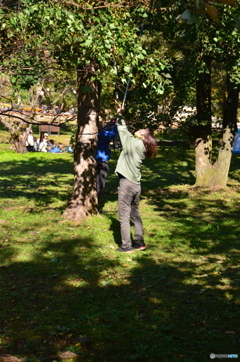 何を採ってるのかな!