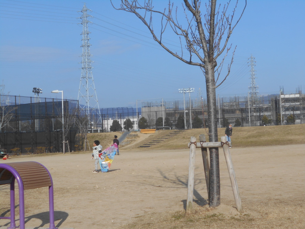 カイトょ飛んでくれ