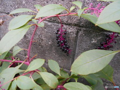 投稿が遅いかも