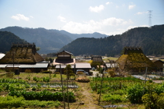 茅葺きの里