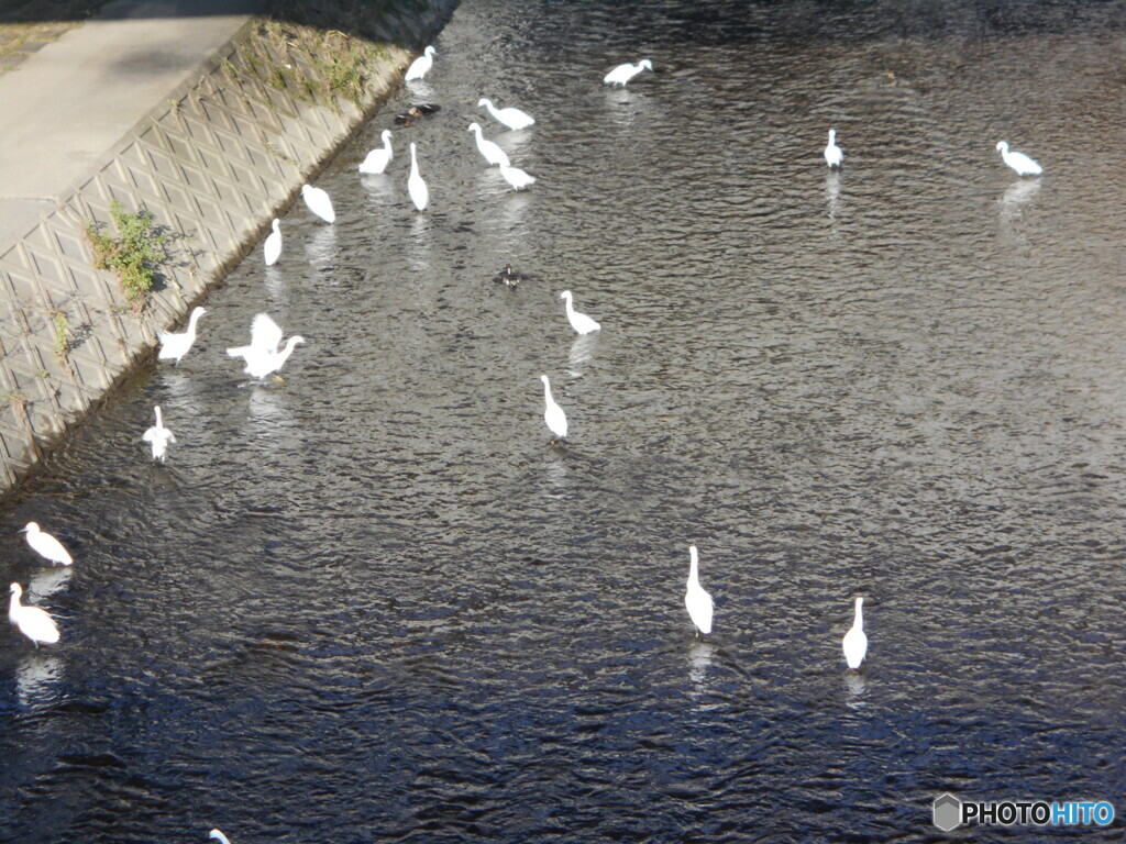 近くの川にて