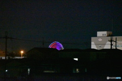 夜の観覧車