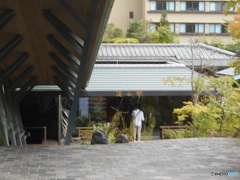 同じくデス 同じくデス