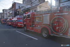 見事に並んでる