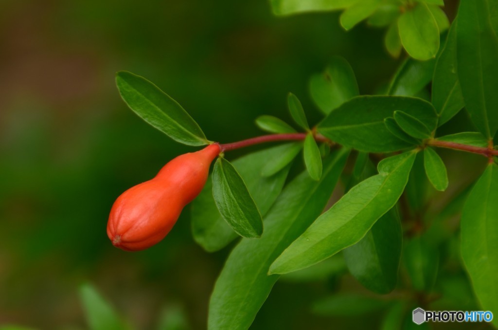 これ変わってる