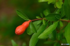 これ変わってる