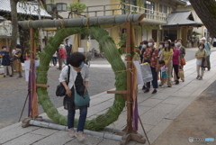 こんな感じの人達