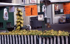 パリの果物やさん