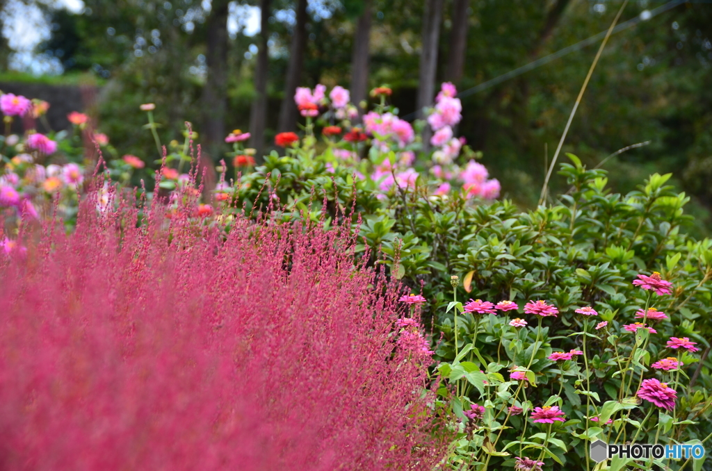 赤をメインに、