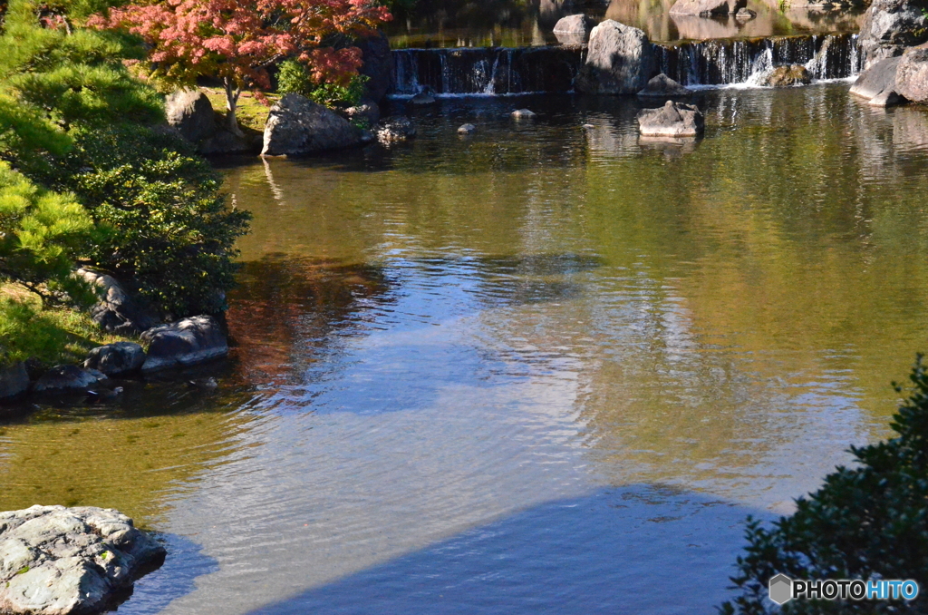 まだ紅葉には早