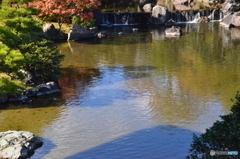 まだ紅葉には早