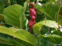 なんかわからん