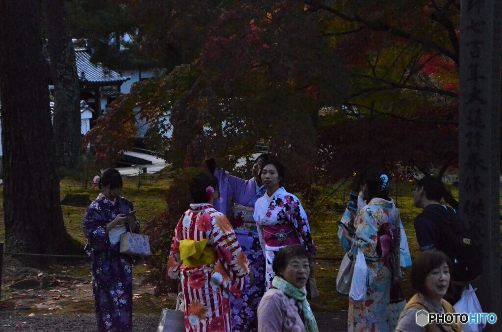 誰もかれも着物なり