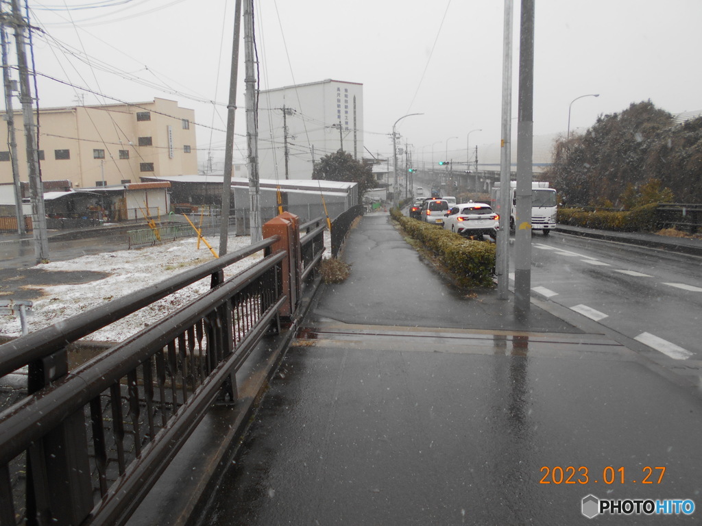 今日も朝から雪