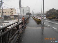 今日も朝から雪