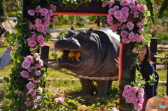 万博記念公園内