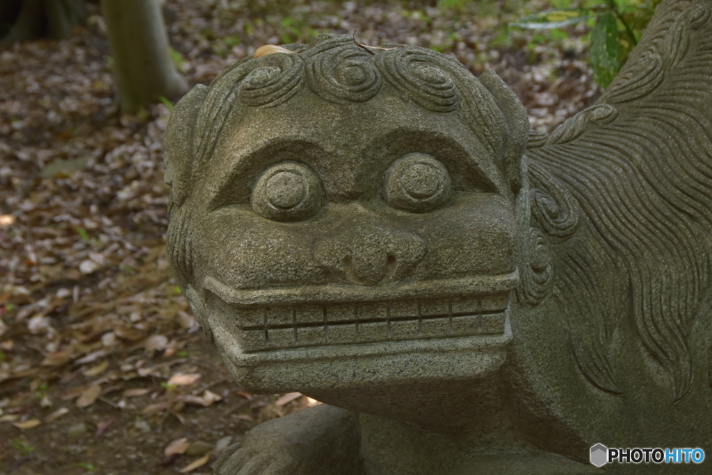 一対の獅子(石）