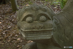 一対の獅子(石）