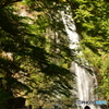 樹木林ト大滝