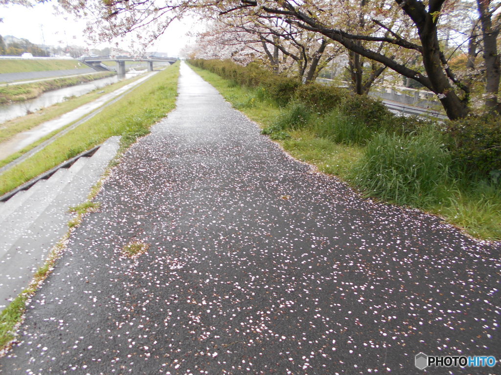 これぞ花むしろなり