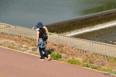 人間ウオッチング３