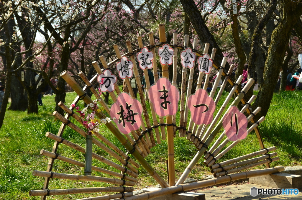 いつものところ