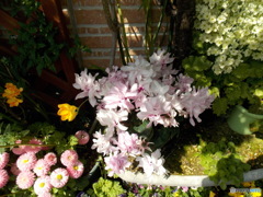 民家の庭園にて