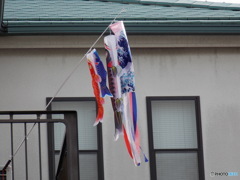 こちらも同じく