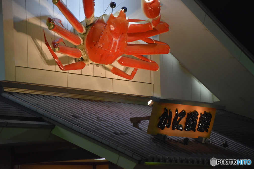 北摂のかに道楽へ