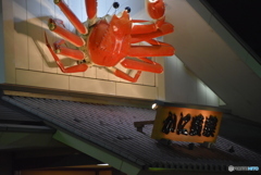 北摂のかに道楽へ