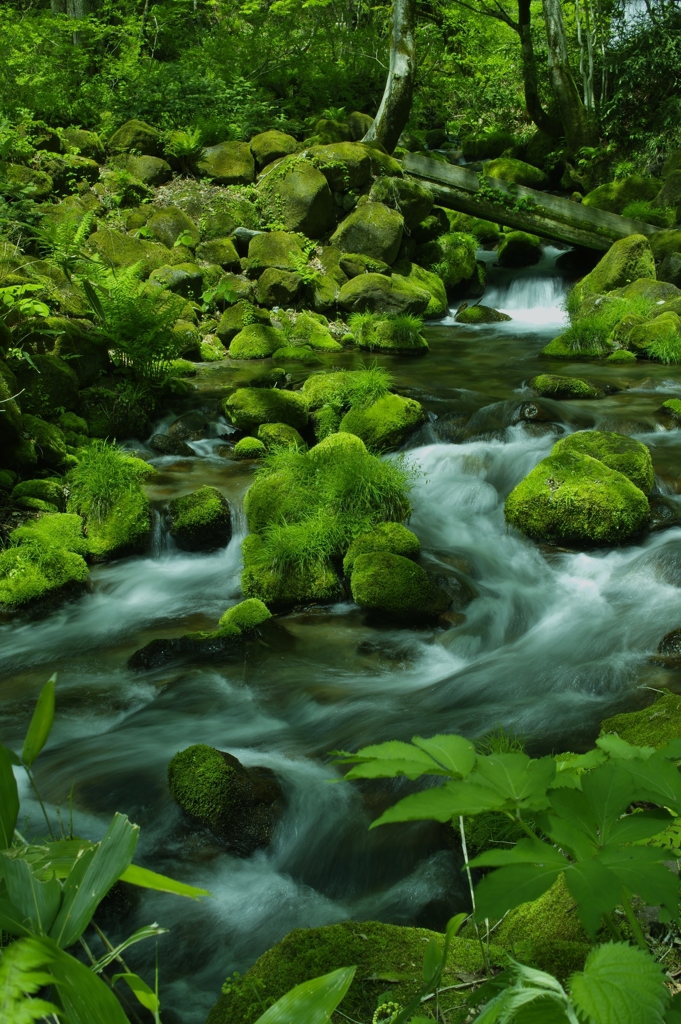 流れ