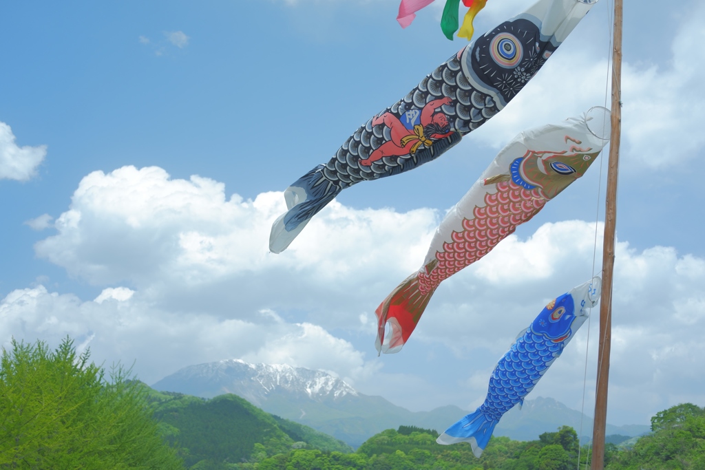 大山と鯉のぼり