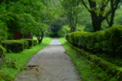 道