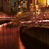 桜7