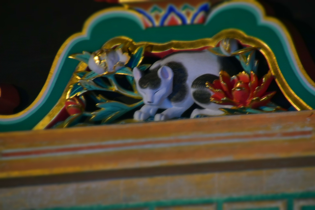 眠り猫
