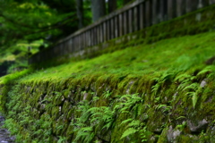 青い壁