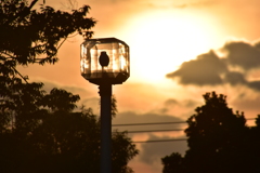 夕焼け