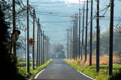電柱のある道・・