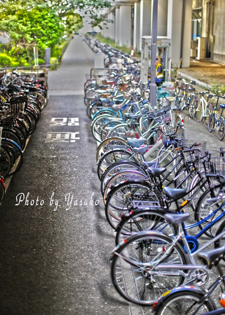 行ってらっしゃい～～（駅自転車置き場）