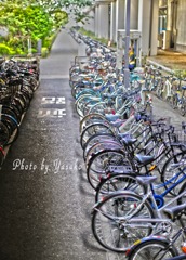 行ってらっしゃい～～（駅自転車置き場）