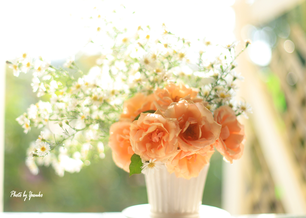 庭の花（薔薇をお部屋に）