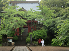 梅雨のお参り