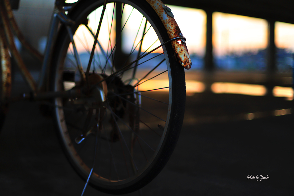漁港の自転車