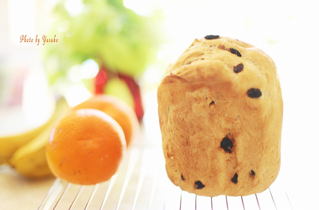 今朝はブドウパン(*^^*)ﾎﾟｯ
