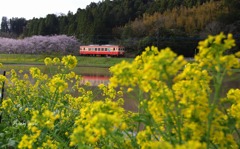 いすみ鉄道