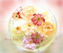 庭の花